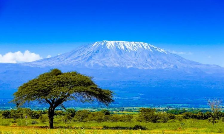 Mount Kilimanjaro