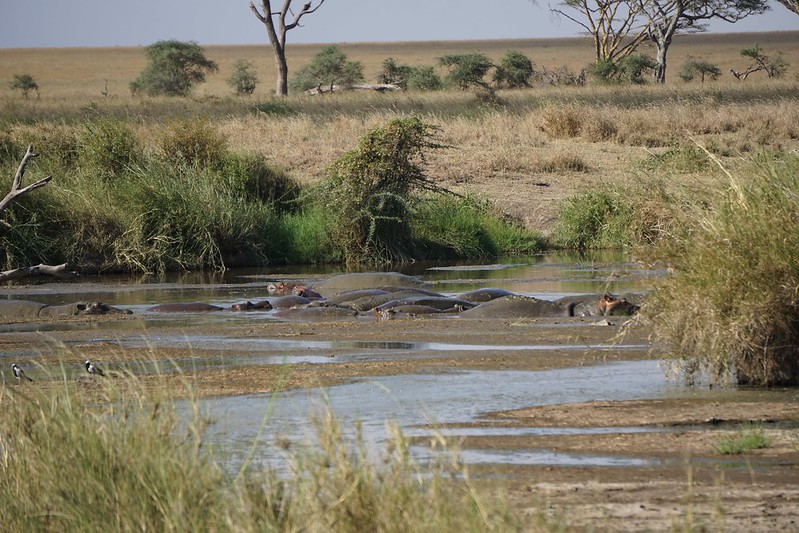 Tarangire National Park