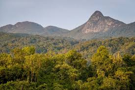 Kahuzi-Biéga National Park