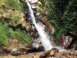 Gishwati-Mukura National Park