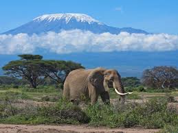 Mount Kenya