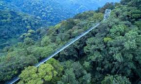 Nyungwe Forest National Park