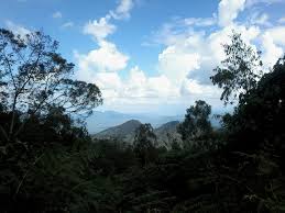 Pare Mountains