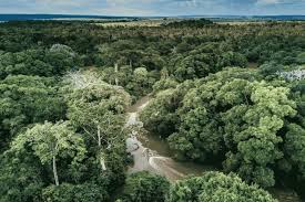Salonga National Park